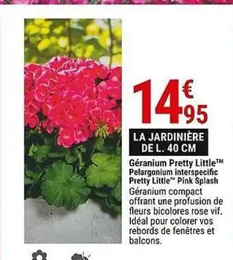Gamm vert La jardinière de l. 40cm offre