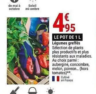 Gamm vert Légumes greffes offre