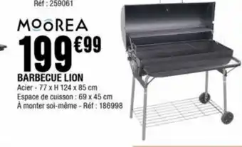 La Foir'Fouille Barbecue lion offre
