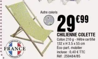 La Foir'Fouille Chilienne colette offre