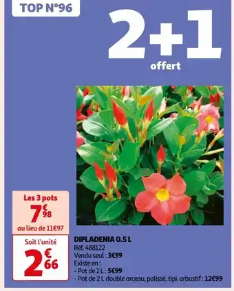 Auchan Dipladenia 0.5 l offre