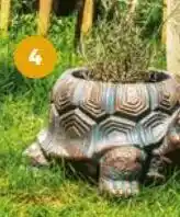 Auchan Cache-pot tortue gardenstar offre