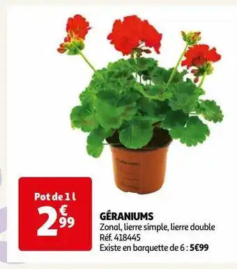 Auchan Géraniums offre