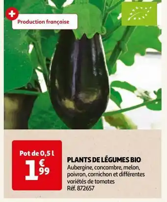 Auchan Plants de légumes bio offre