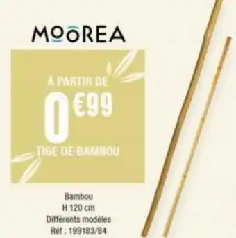 TIGE DE BAMBOU