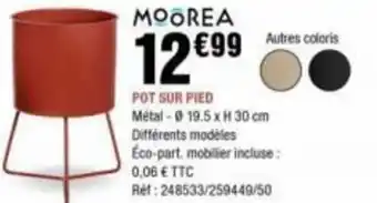 La Foir'Fouille MOOREA POT SUR PIED offre