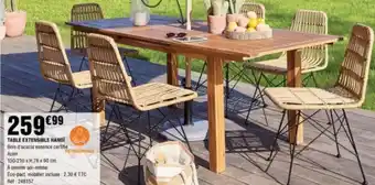 La Foir'Fouille TABLE EXTENSIBLE HANOI offre