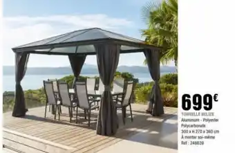 La Foir'Fouille TONNELLE BELIZE Aluminium-Polyester Polycarbonate 300 x H 270 x 360 cm A monter soi-même Ref: 248639 offre