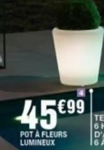 La Foir'Fouille POT À FLEURS LUMINEUX offre