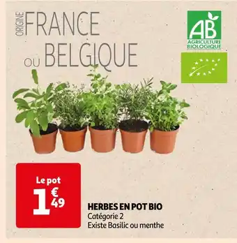Auchan Supermarché Herbes en pot bio offre