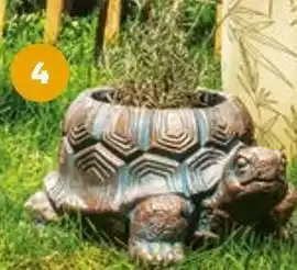 Auchan Gardenstar cache-pot tortue offre