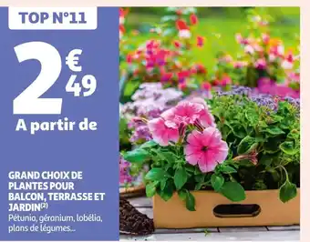 Auchan Supermarché Grand choix de plantes pour balcon, terrasse et jardin offre