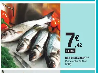 E.Leclerc BAR D'ÉLEVAGE(7)(10) Pièce entre 300 et 600g. offre