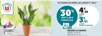 Super U Muguet u 2 griffes offre