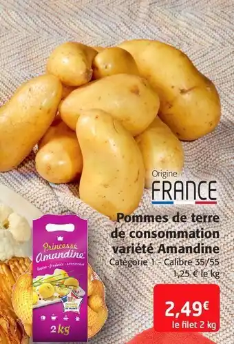 Colruyt Pommes de terre de consommation variété amandine offre
