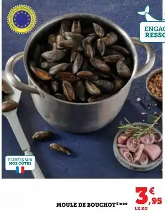 Super U Moule de bouchot offre
