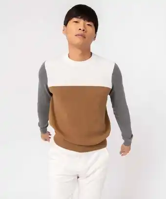 Gémo Pull homme tricolore en coton offre