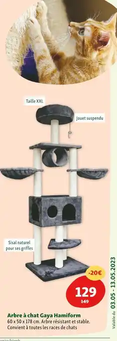Maxi Zoo Hamiform arbre à chat gaya offre