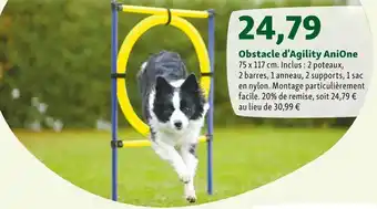 Maxi Zoo Anione obstacle d'agility anione offre