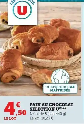 Super U Pains chocolat selection u offre