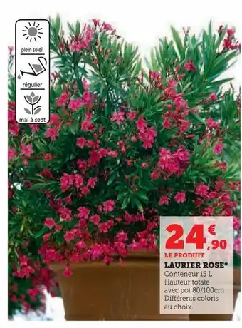 Hyper U Laurier rose offre
