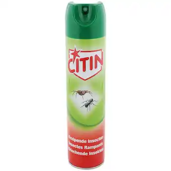 Spray contre les insectes rampants citin