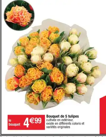 Cora x Carrefour Bouquet de 5 tulipes cultivée en extérieur, existe en différents coloris et variétés originales offre