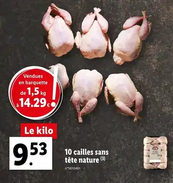 Lidl 10 cailles sans tête nature offre