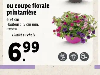 Lidl Oou coupe florale printanière offre