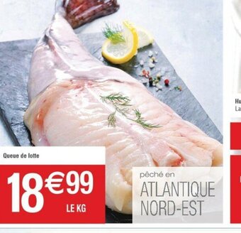 Cora x Carrefour Queue de lotte offre