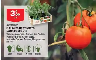 ALDI 6 PLANTS DE TOMATES «ANCIENNES »✪ offre