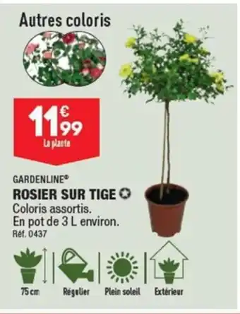 ALDI GARDENLINE ROSIER SUR TIGE Coloris assortis. En pot de 3 L environ. Ref. 0437 offre