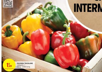 POIVRON TRICOLORE