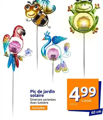 Action Pic de jardin solaire offre