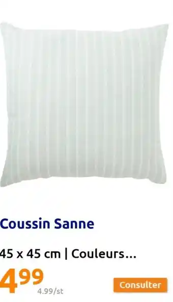 Action Coussin Sanne 45 x 45 cm | Couleurs... offre