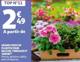 Auchan GRAND CHOIX DE PLANTES POUR BALCON, TERRASSE ET JARDIN (²) offre