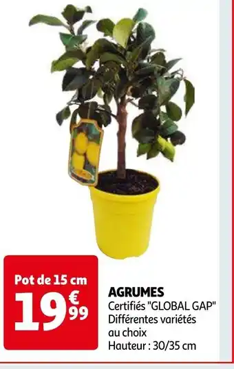 Auchan AGRUMES offre