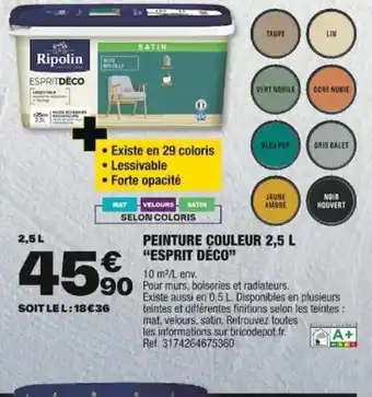 Brico Dépôt PEINTURE COULEUR 2,5 L "ESPRIT DÉCO" offre