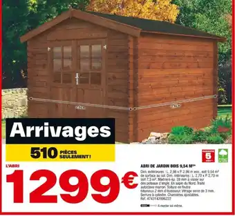 Brico Dépôt ABRI DE JARDIN BOIS 9,54 M²* offre