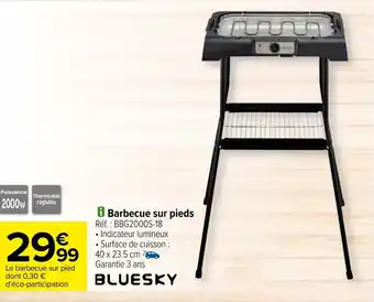 Carrefour Barbecue sur pieds offre