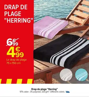Carrefour Drap de plage "Herring" offre