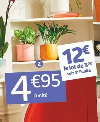 Ecloz plante verte