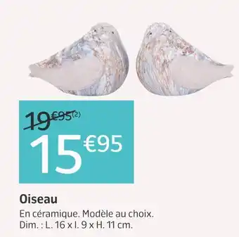 Jardiland Oiseau offre