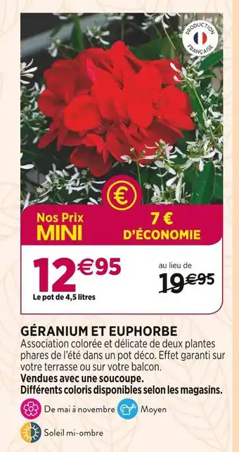 Delbard Géranium et euphorbe offre