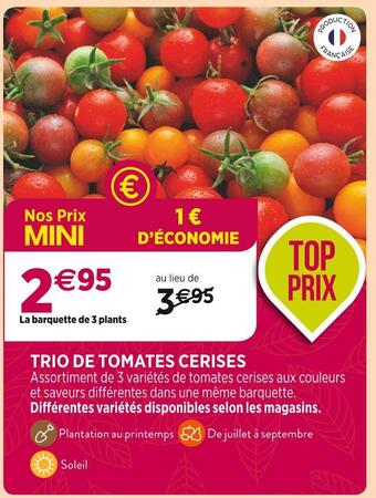 Delbard Trio de tomates cerises offre
