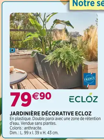 Delbard Ecloz jardinière décorative offre