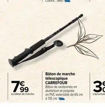 Bâton de marche télescopique CARREFOUR