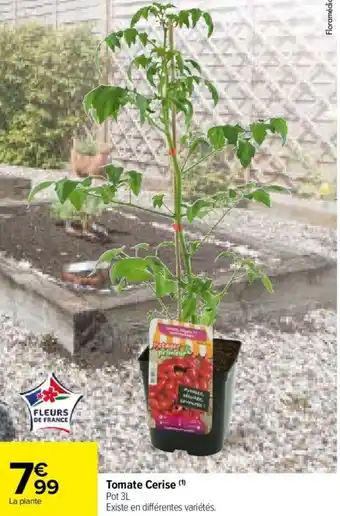 Carrefour Market Tomate Cerise (1) Pot 3L offre
