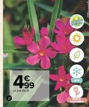 Carrefour Market Laurier Rose offre