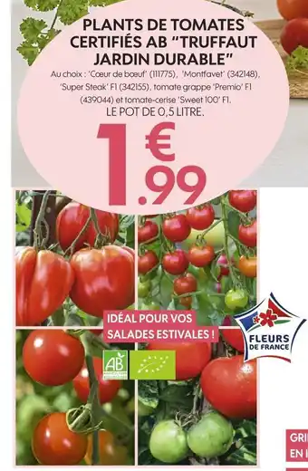 Truffaut jardin durable plants de tomates certifiés ab